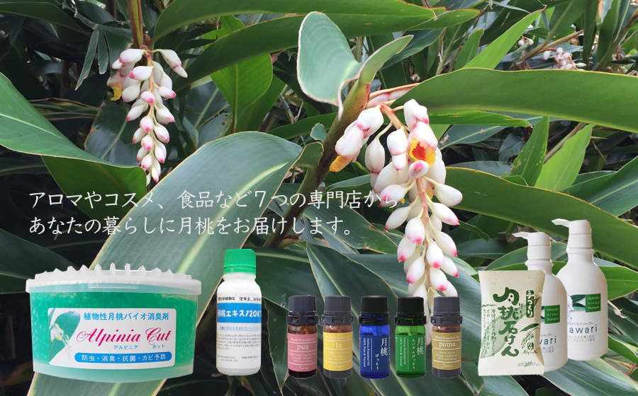 アロマやコスメ、食品など7つの専門店からあなたの暮らしに月桃をお届けします。